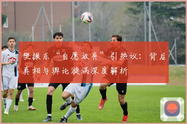 樊振东“自愿放弃”引热议：背后真相与舆论漩涡深度解析