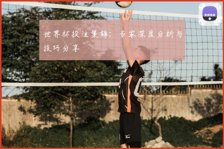 世界杯投注集锦：专家深度分析与技巧分享