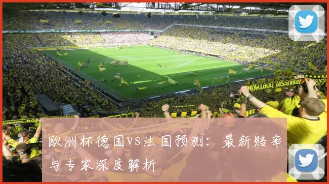 欧洲杯德国vs法国预测：最新赔率与专家深度解析