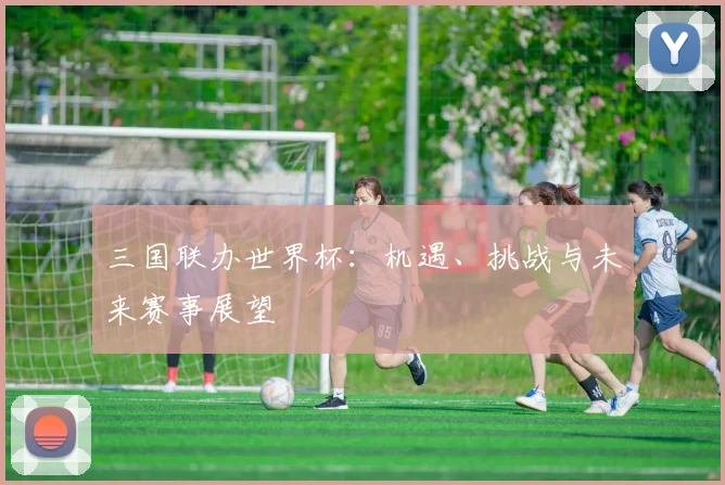 三国联办世界杯：机遇、挑战与未来赛事展望