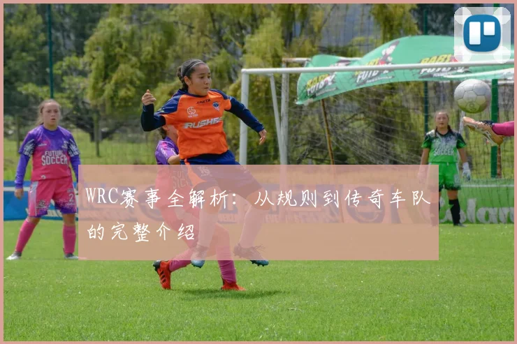 WRC赛事全解析：从规则到传奇车队的完整介绍