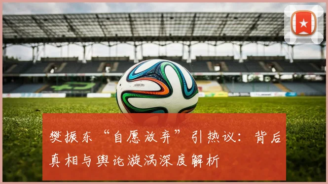 樊振东“自愿放弃”引热议：背后真相与舆论漩涡深度解析