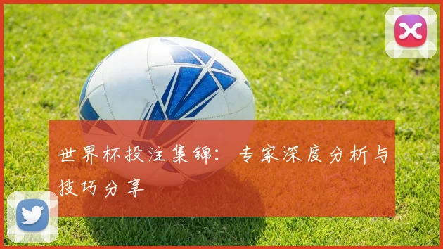 世界杯投注集锦：专家深度分析与技巧分享