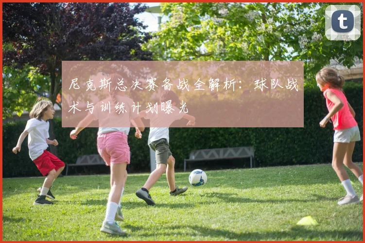 尼克斯总决赛备战全解析：球队战术与训练计划曝光